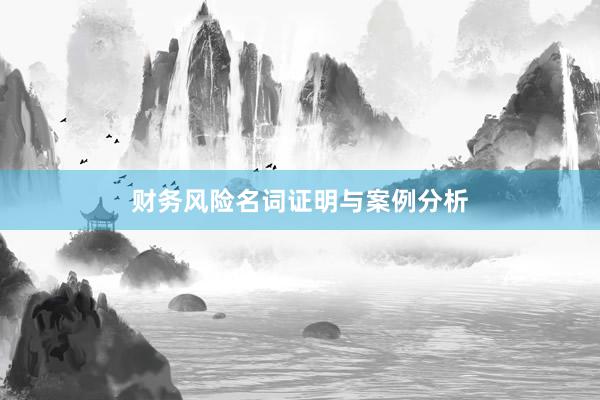 财务风险名词证明与案例分析
